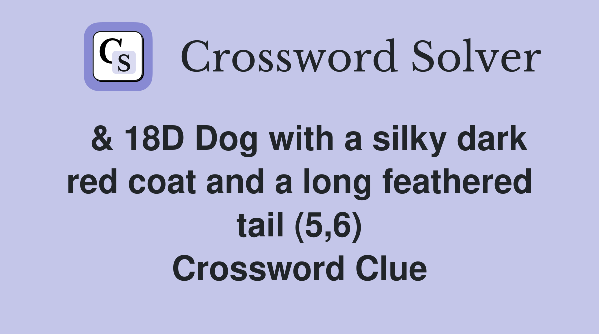  & 18D Dog with a silky dark red coat and a long feathered tail (5,6) Crossword Clue