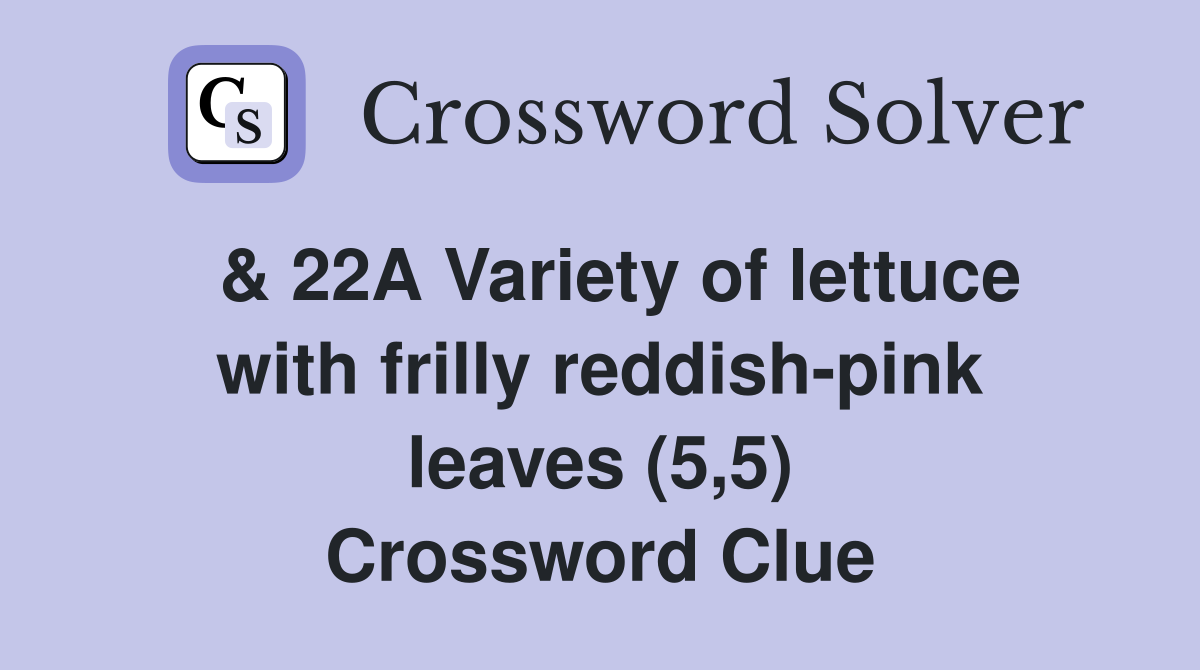  & 22A Variety of lettuce with frilly reddish-pink leaves (5,5) Crossword Clue