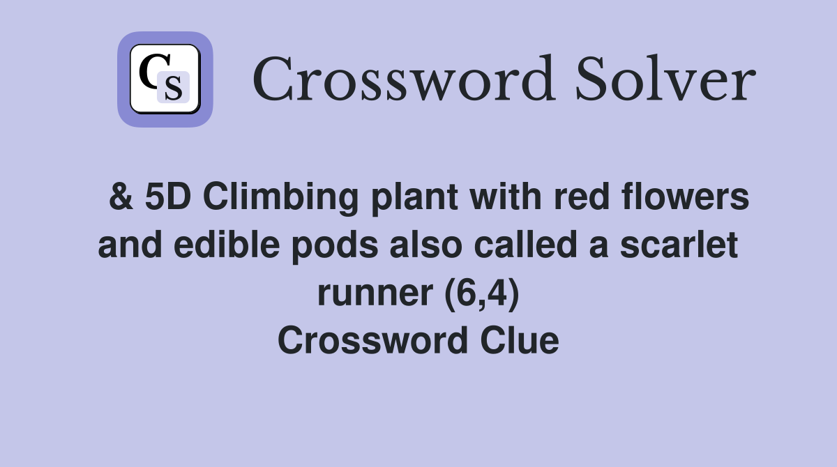  & 5D Climbing plant with red flowers and edible pods also called a scarlet runner (6,4) Crossword Clue
