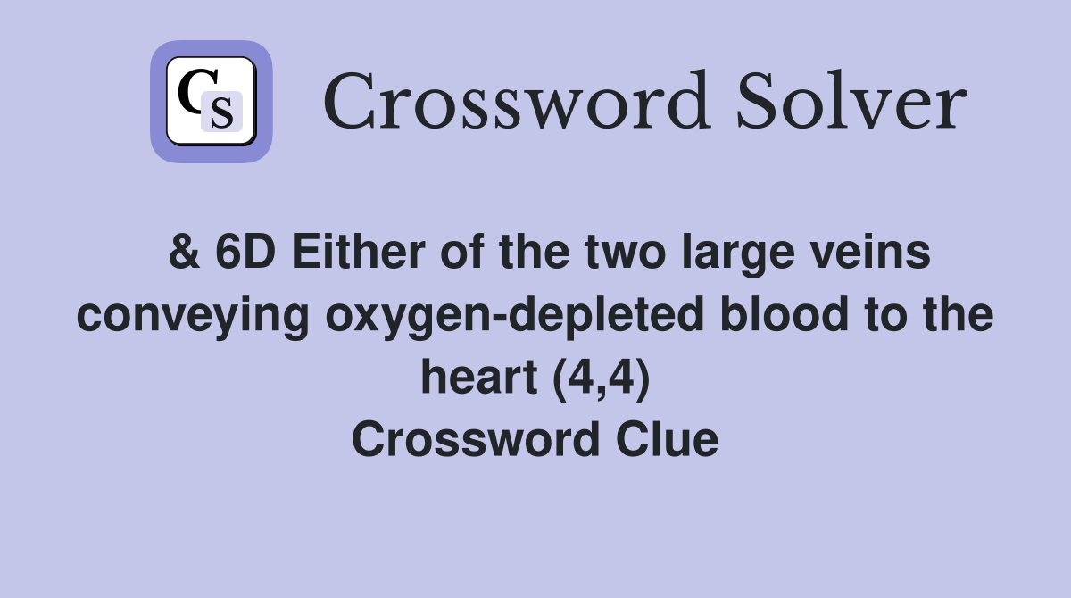  & 6D Either of the two large veins conveying oxygen-depleted blood to the heart (4,4) Crossword Clue