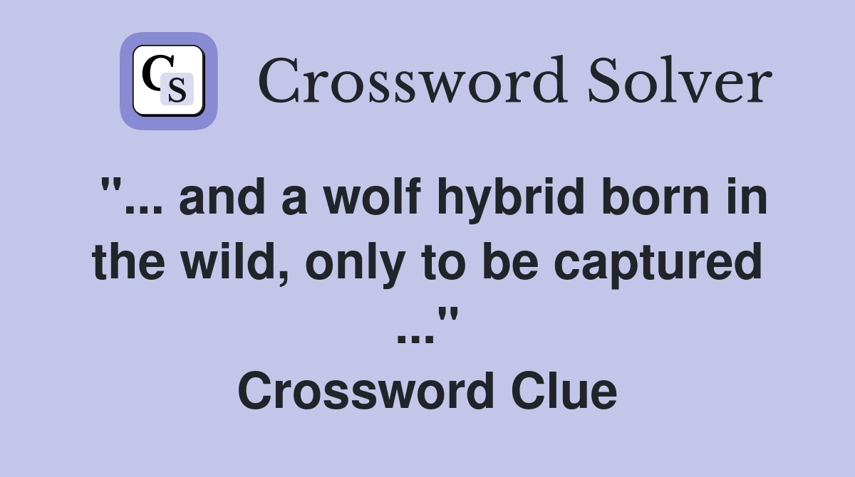 "... and a wolf hybrid born in the wild, only to be captured ..." Crossword Clue