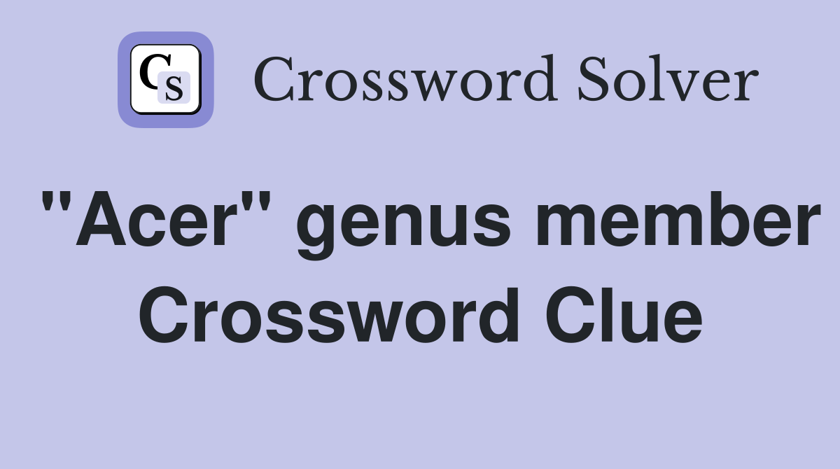 "Acer" genus member Crossword Clue