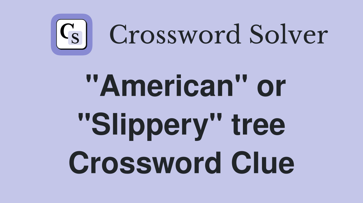 "American" or "Slippery" tree Crossword Clue