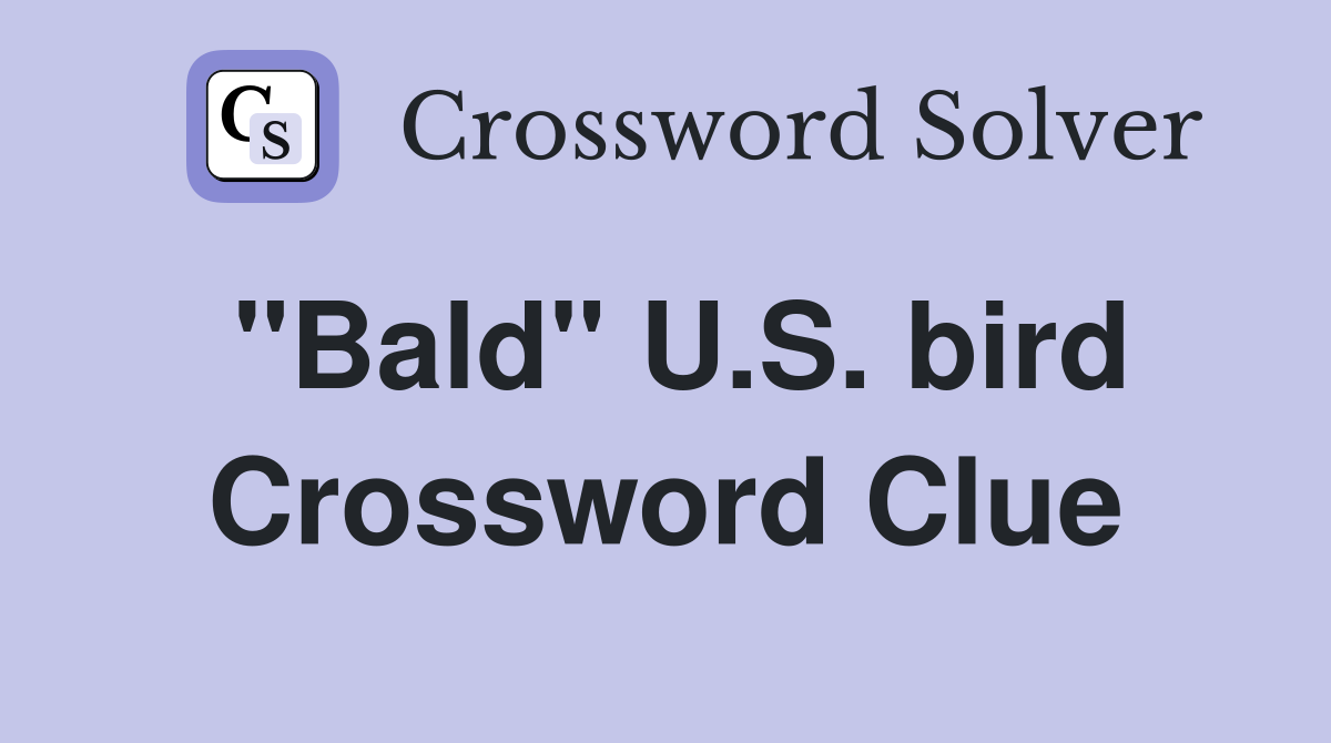 "Bald" U.S. bird Crossword Clue