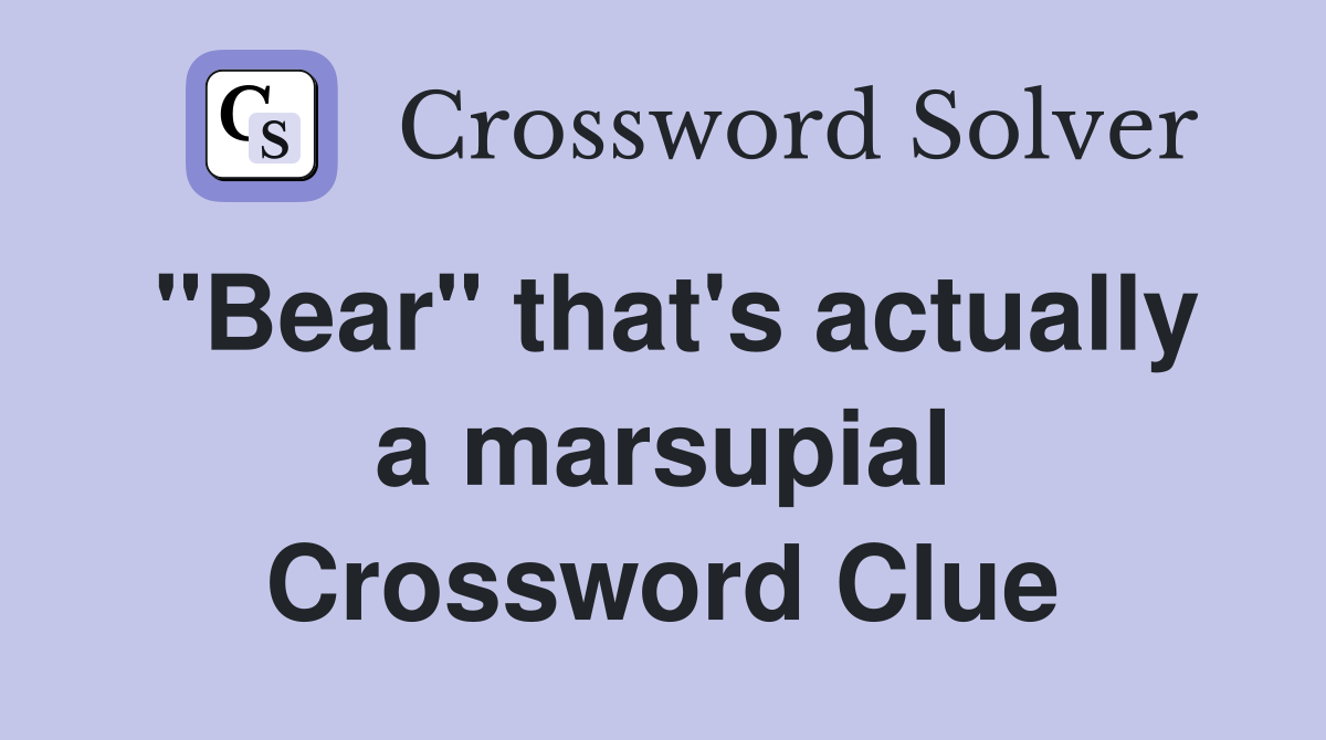"Bear" that's actually a marsupial Crossword Clue