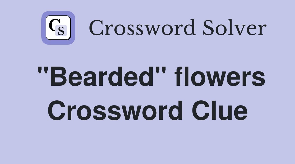"Bearded" flowers Crossword Clue