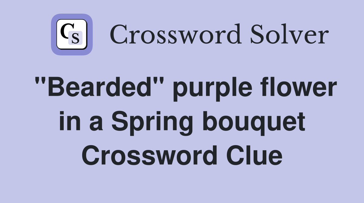 "Bearded" purple flower in a Spring bouquet Crossword Clue