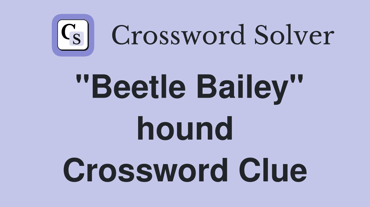 "Beetle Bailey" hound Crossword Clue