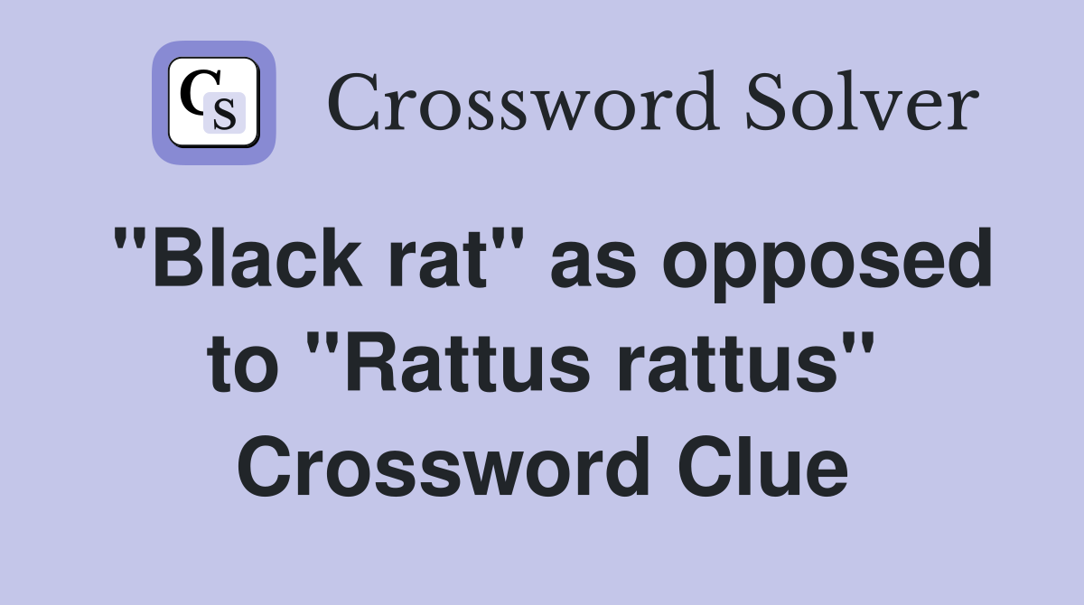 "Black rat" as opposed to "Rattus rattus" Crossword Clue