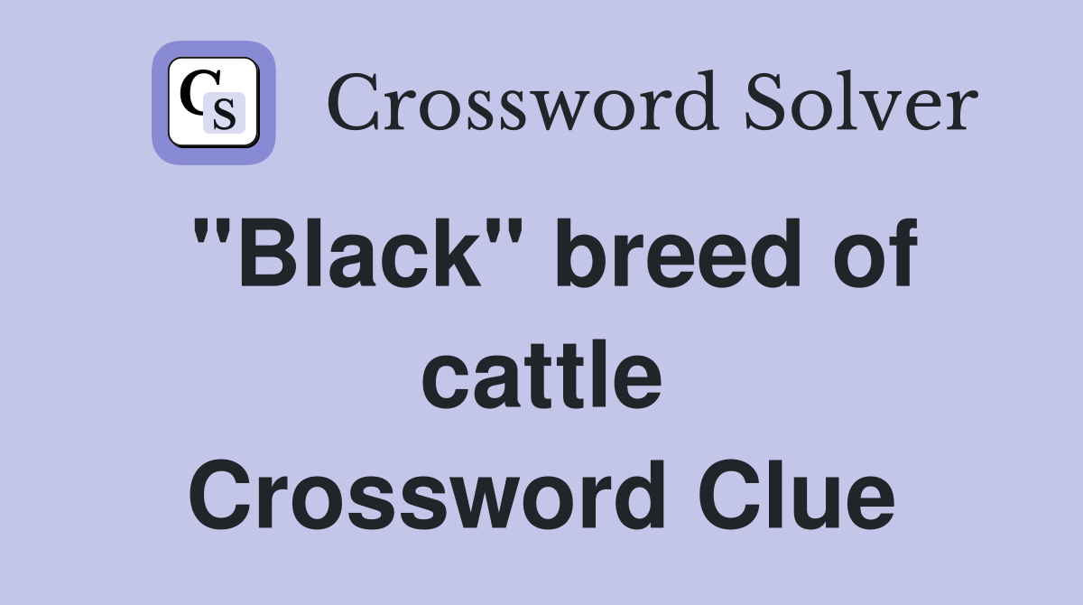 "Black" breed of cattle Crossword Clue