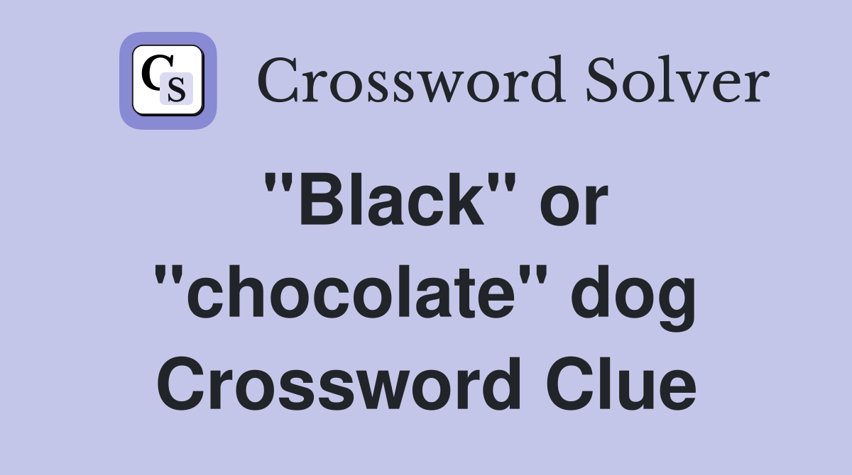 "Black" or "chocolate" dog Crossword Clue