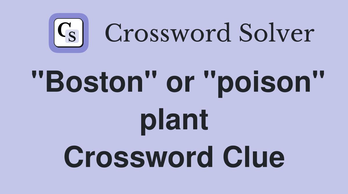 "Boston" or "poison" plant Crossword Clue