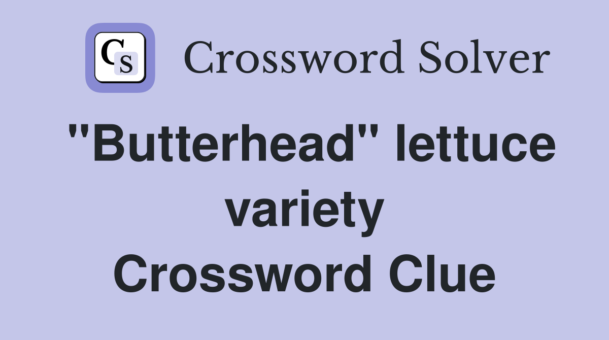 "Butterhead" lettuce variety Crossword Clue