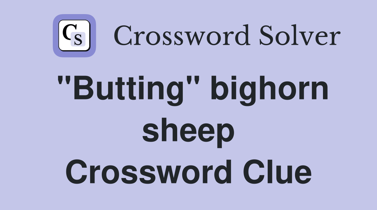 "Butting" bighorn sheep Crossword Clue