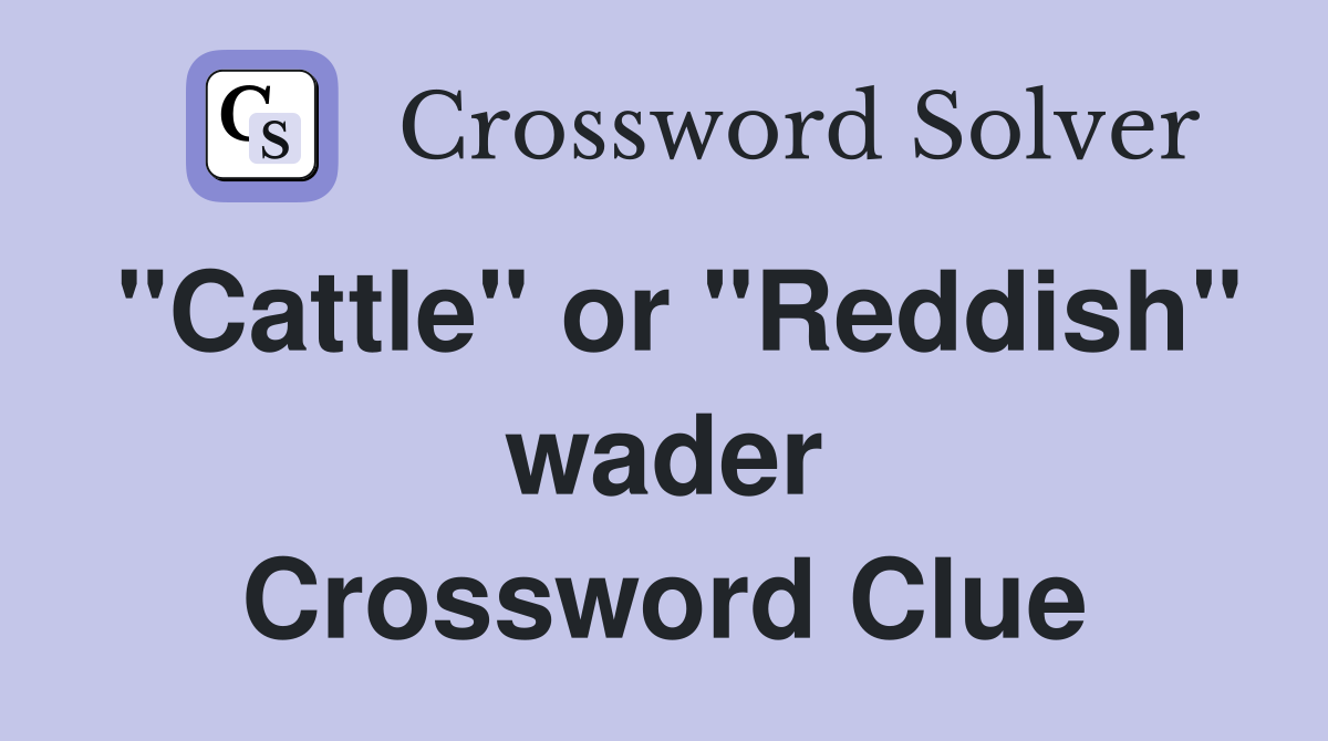 "Cattle" or "Reddish" wader Crossword Clue