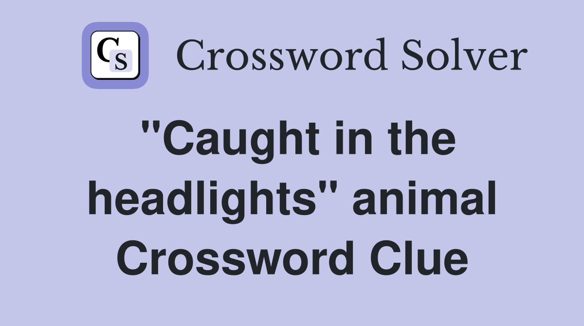 "Caught in the headlights" animal Crossword Clue