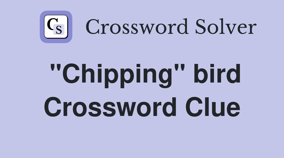 "Chipping" bird Crossword Clue