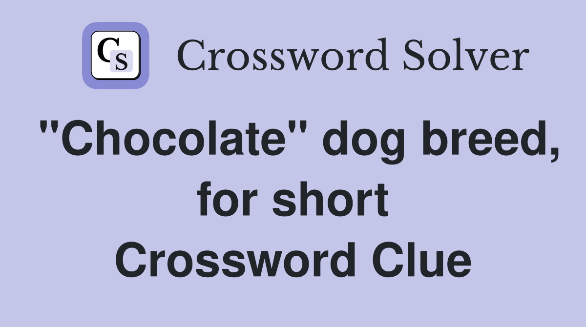 "Chocolate" dog breed, for short Crossword Clue