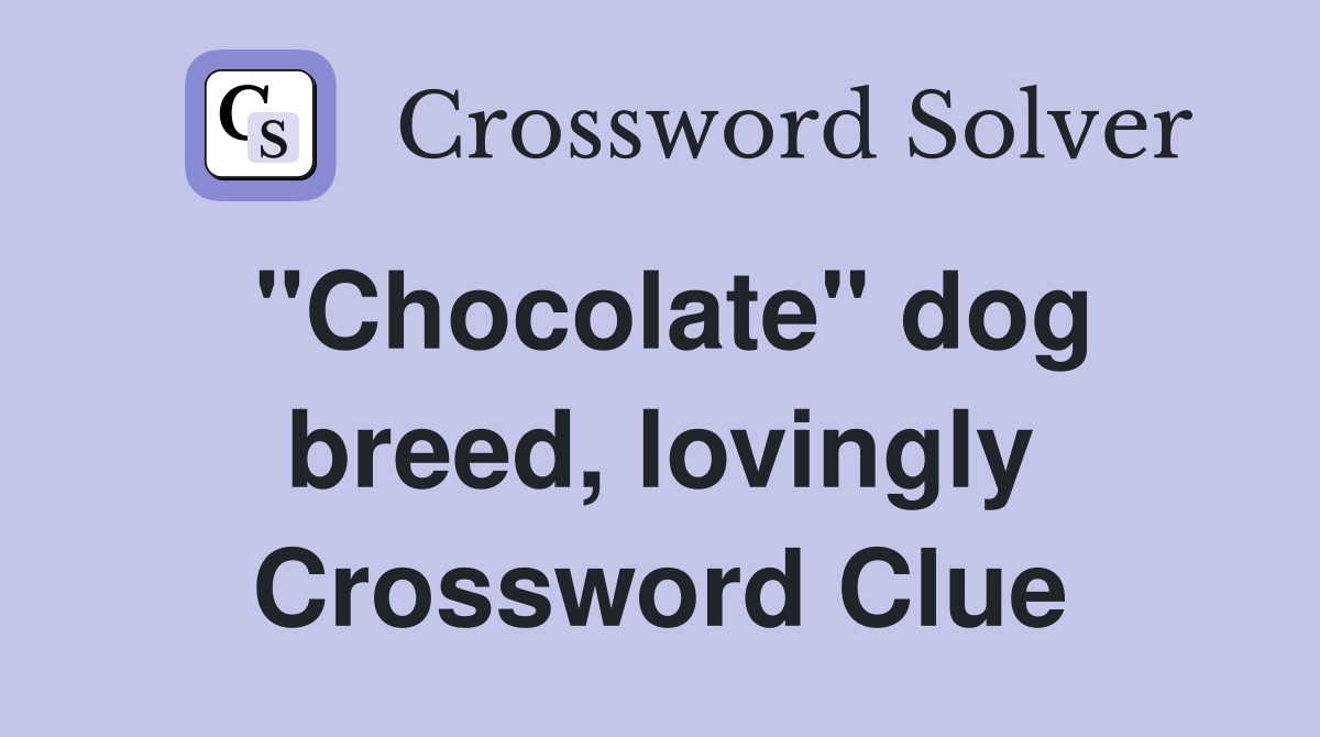 "Chocolate" dog breed, lovingly Crossword Clue