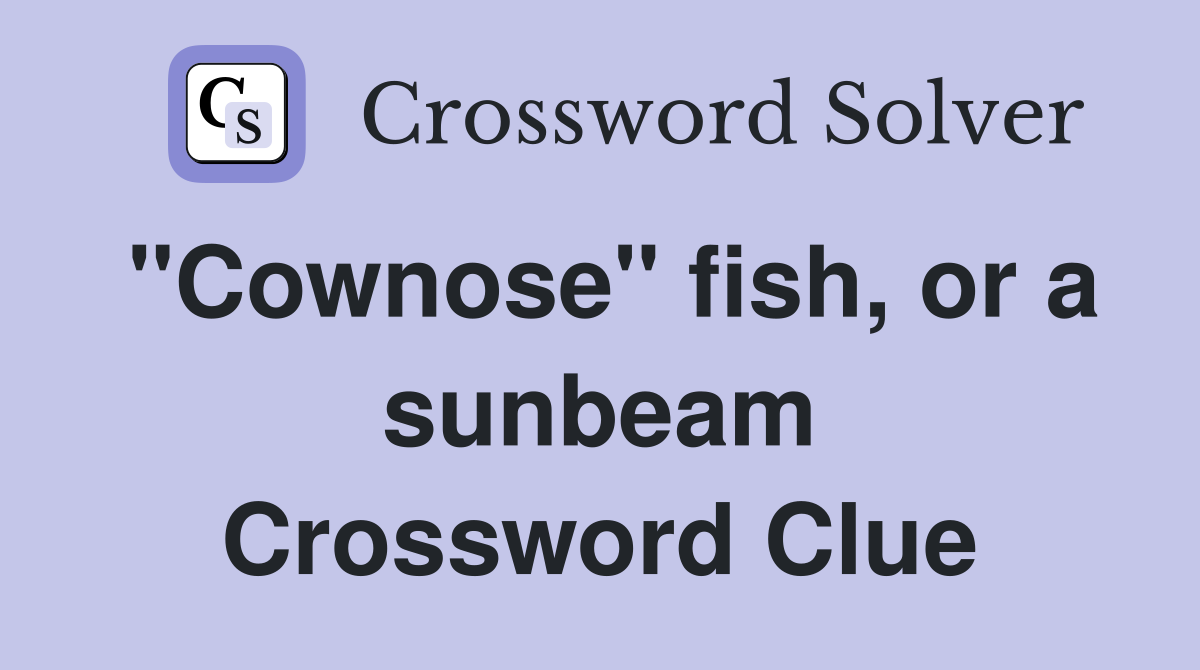 "Cownose" fish, or a sunbeam Crossword Clue