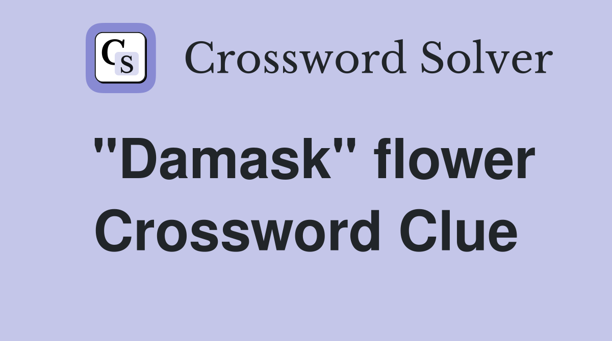 "Damask" flower Crossword Clue