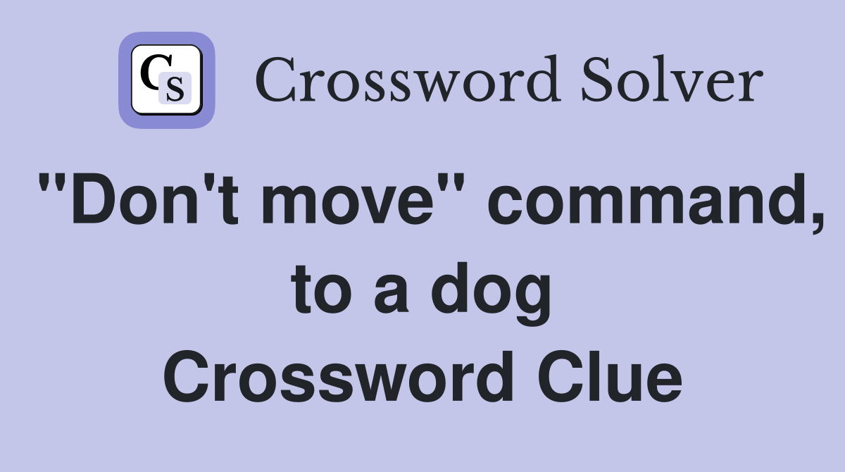 "Don't move" command, to a dog Crossword Clue