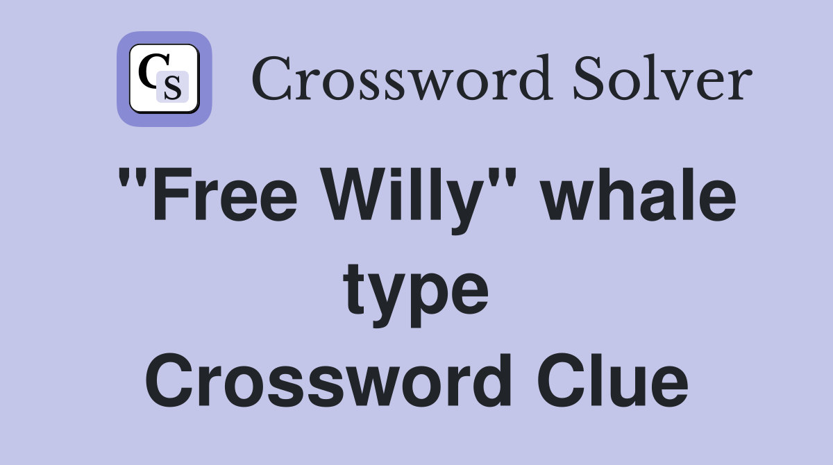 "Free Willy" whale type Crossword Clue
