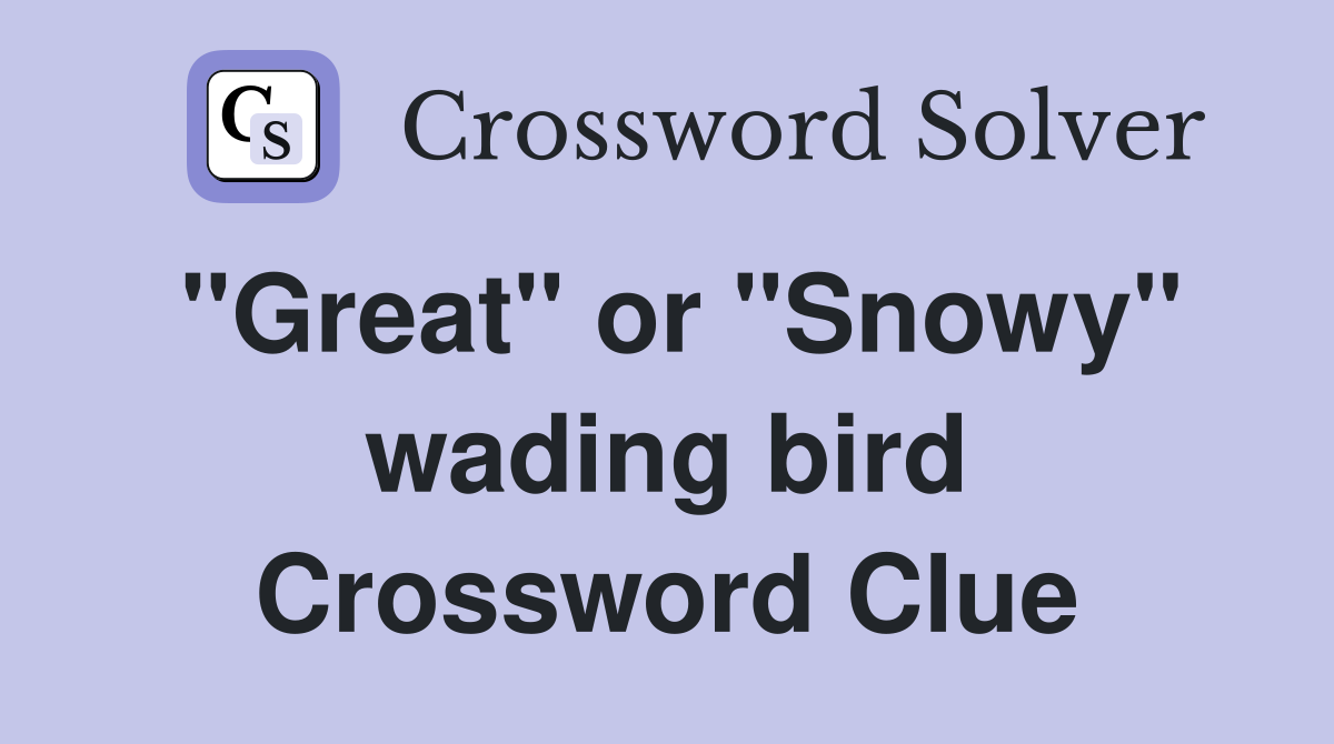 "Great" or "Snowy" wading bird Crossword Clue