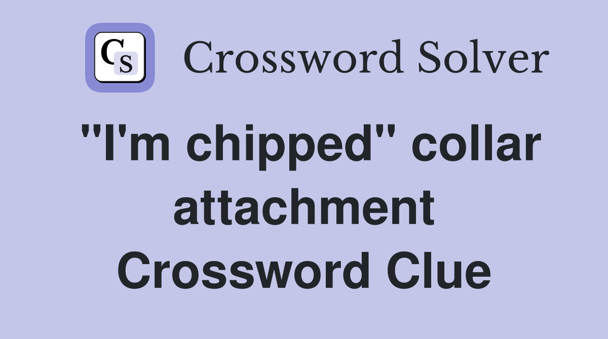 "I'm chipped" collar attachment Crossword Clue