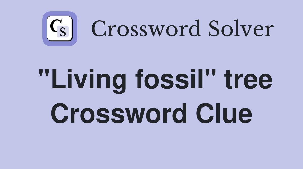 "Living fossil" tree Crossword Clue