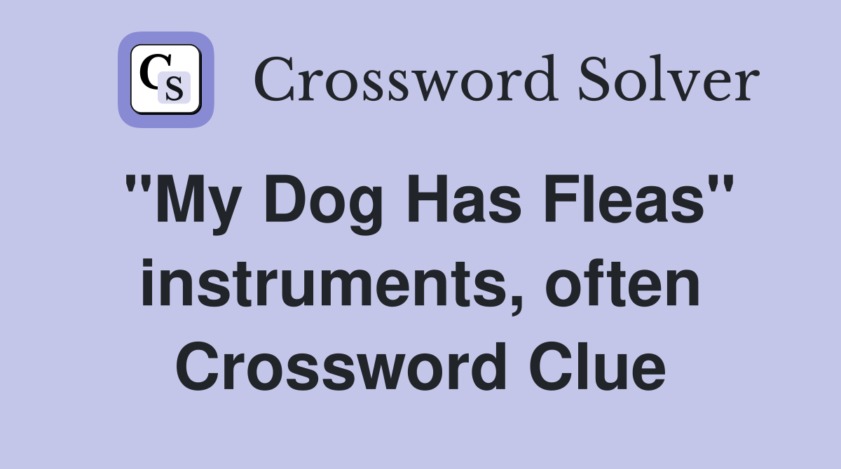 "My Dog Has Fleas" instruments, often Crossword Clue