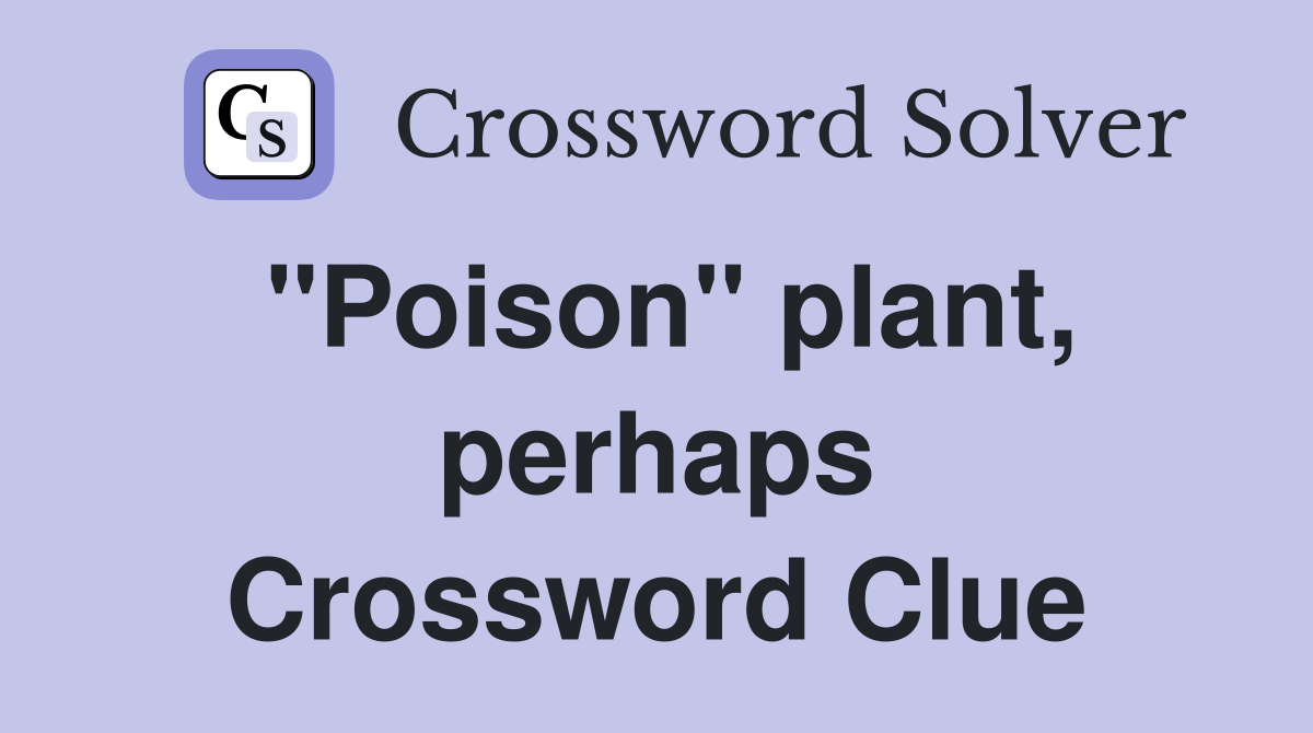 "Poison" plant, perhaps Crossword Clue
