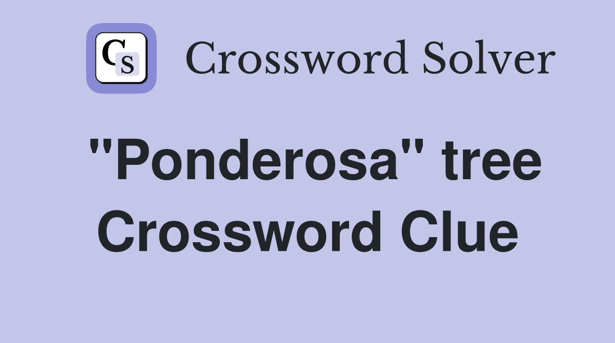 "Ponderosa" tree Crossword Clue
