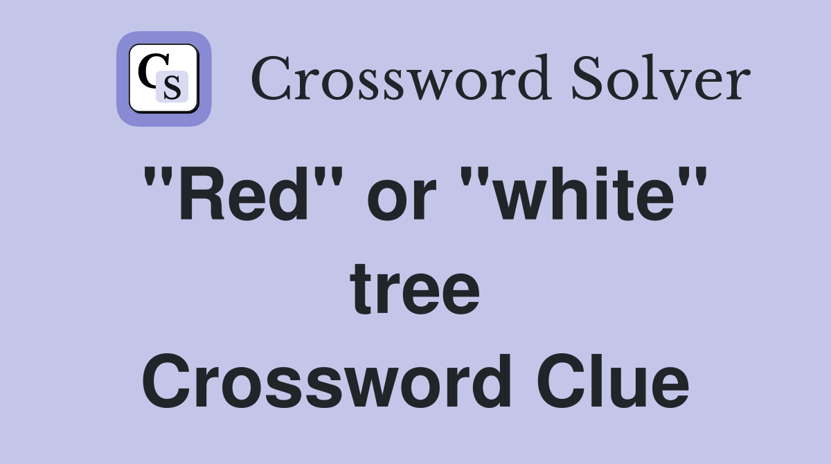 "Red" or "white" tree Crossword Clue