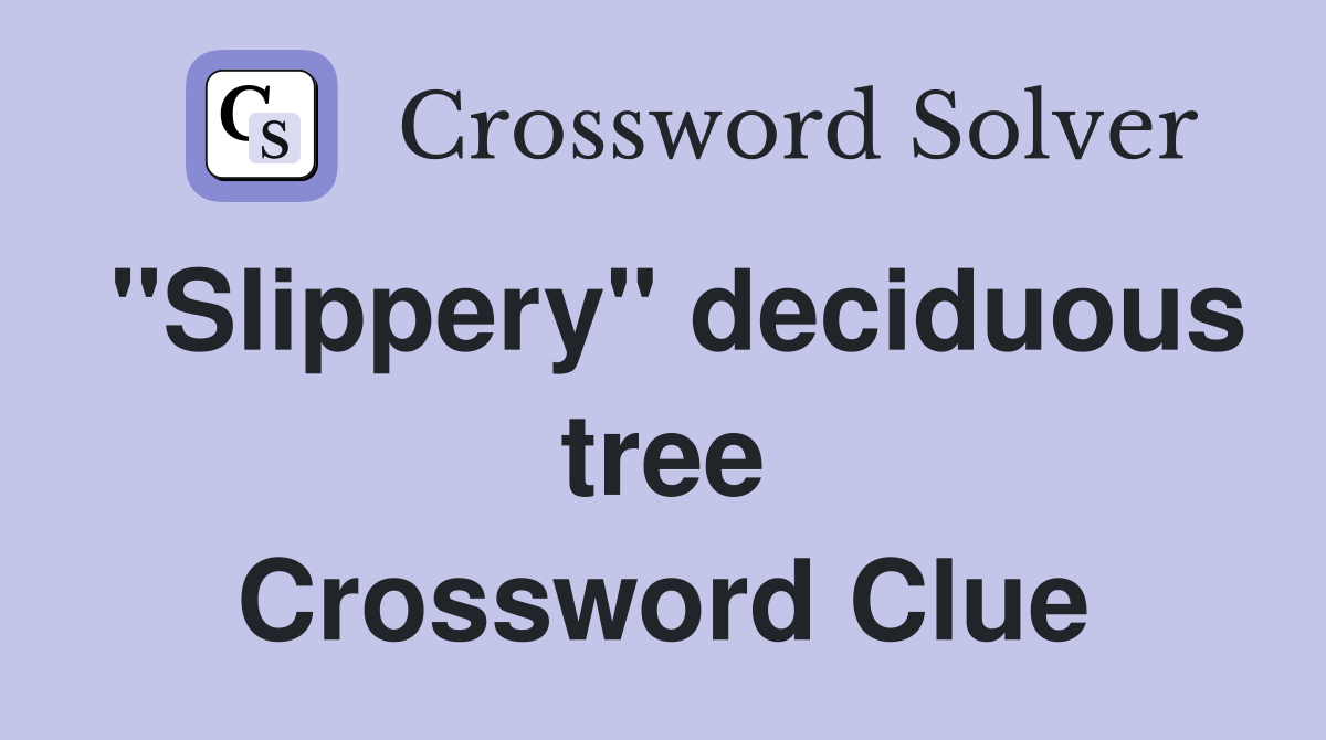 "Slippery" deciduous tree Crossword Clue