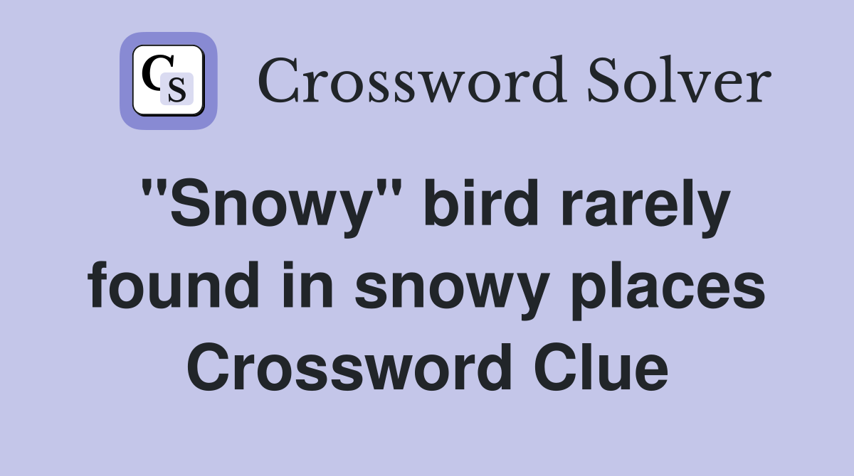 "Snowy" bird rarely found in snowy places Crossword Clue
