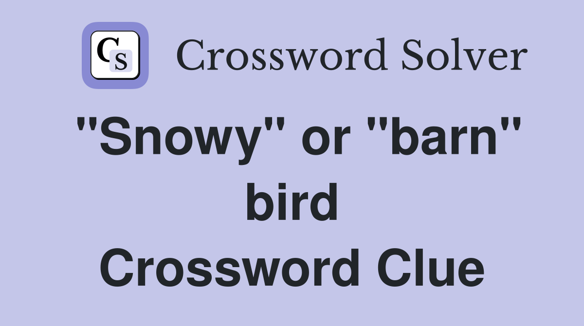"Snowy" or "barn" bird Crossword Clue