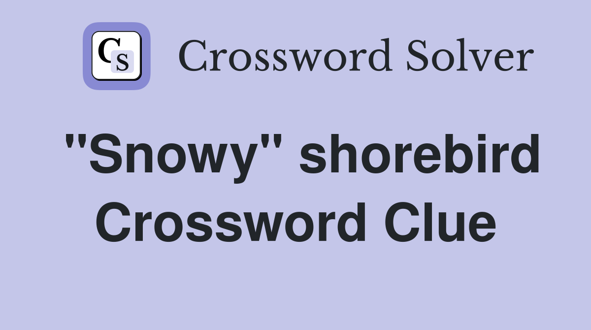 "Snowy" shorebird Crossword Clue