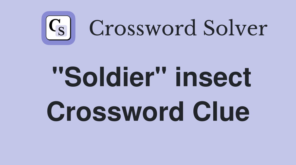 "Soldier" insect Crossword Clue