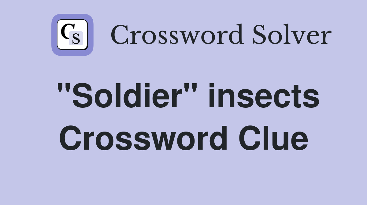 "Soldier" insects Crossword Clue