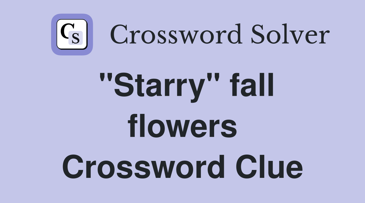 "Starry" fall flowers Crossword Clue
