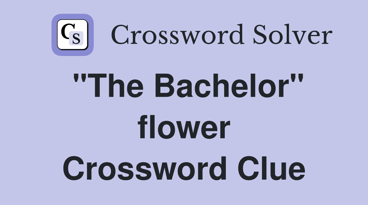"The Bachelor" flower Crossword Clue