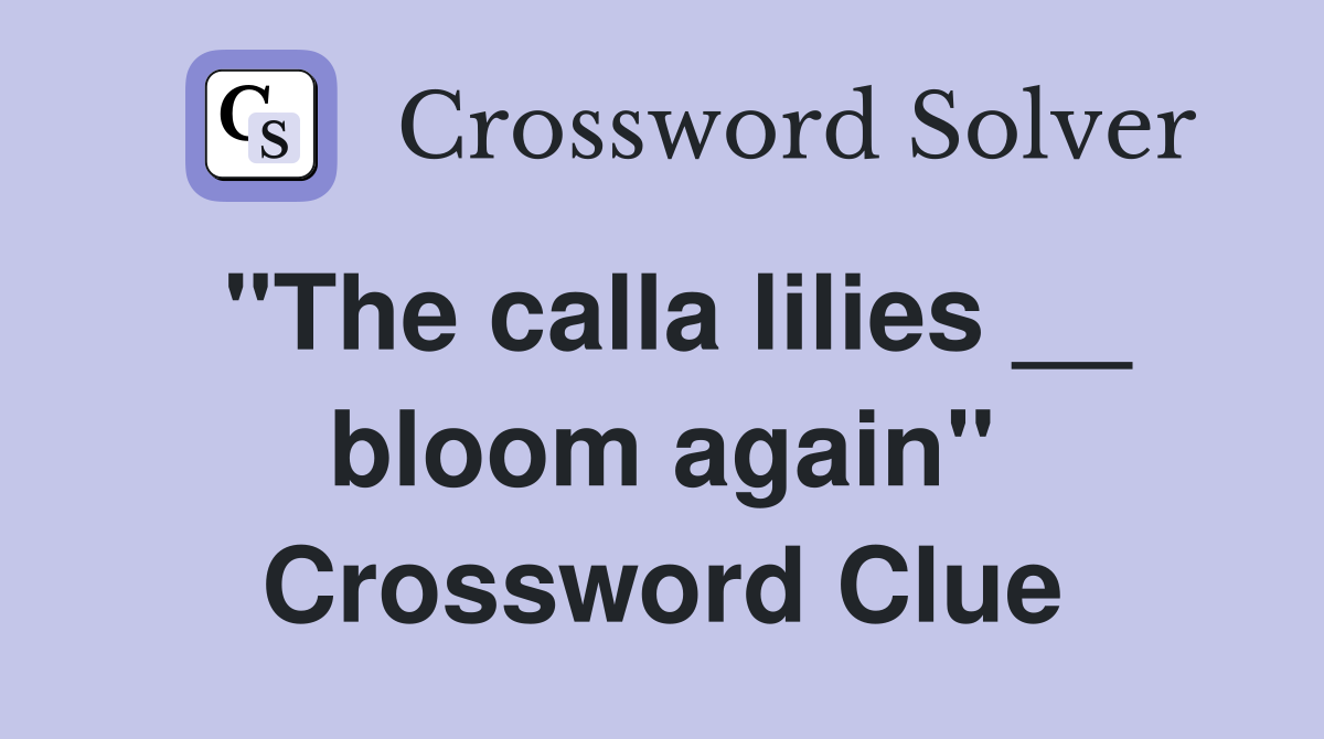 "The calla lilies __ bloom again" Crossword Clue