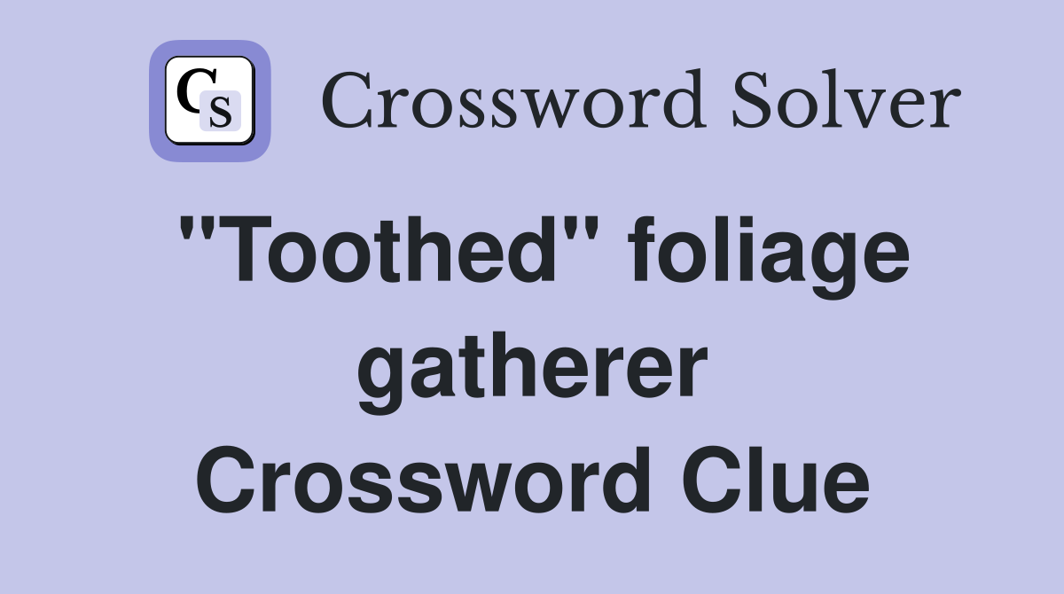 "Toothed" foliage gatherer Crossword Clue