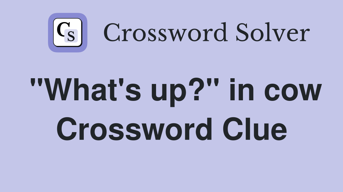 "What's up?" in cow Crossword Clue
