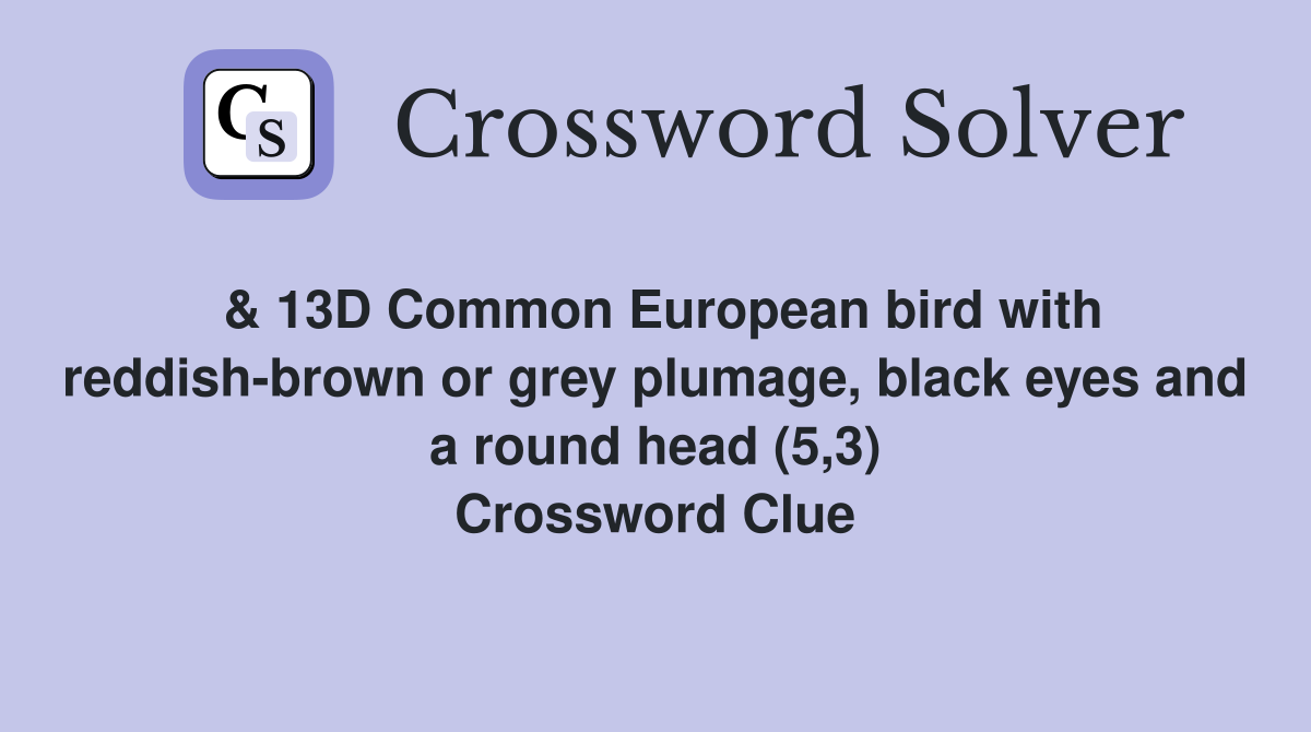 & 13D Common European bird with reddish-brown or grey plumage, black eyes and a round head (5,3) Crossword Clue