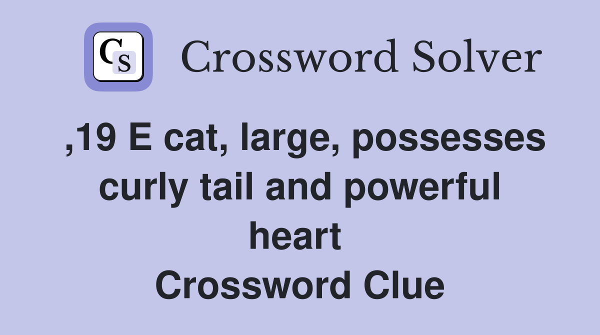 ,19 E cat, large, possesses curly tail and powerful heart  Crossword Clue