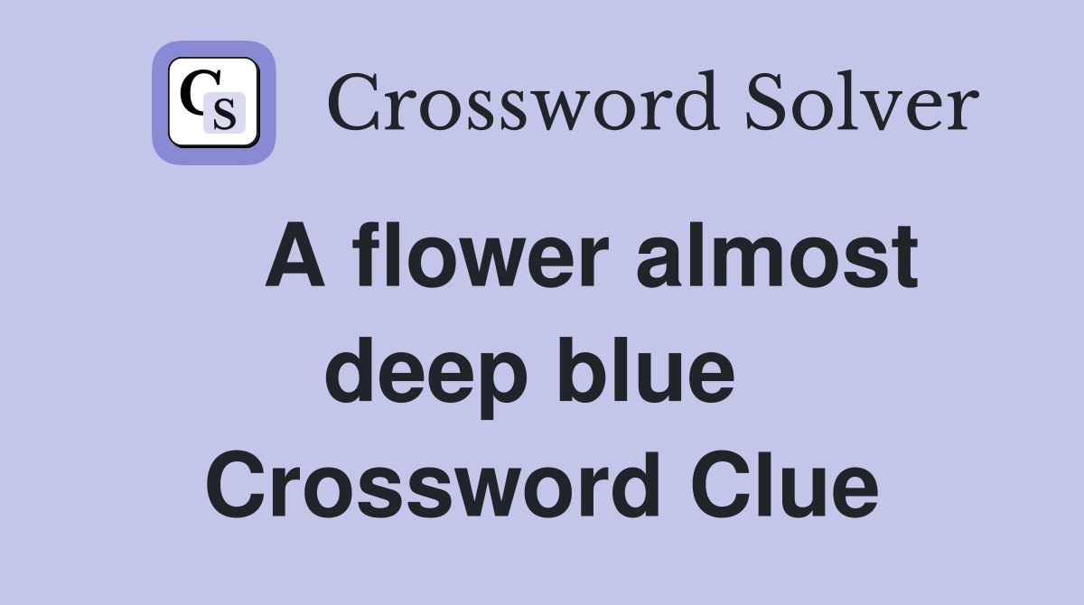    A flower almost deep blue  Crossword Clue