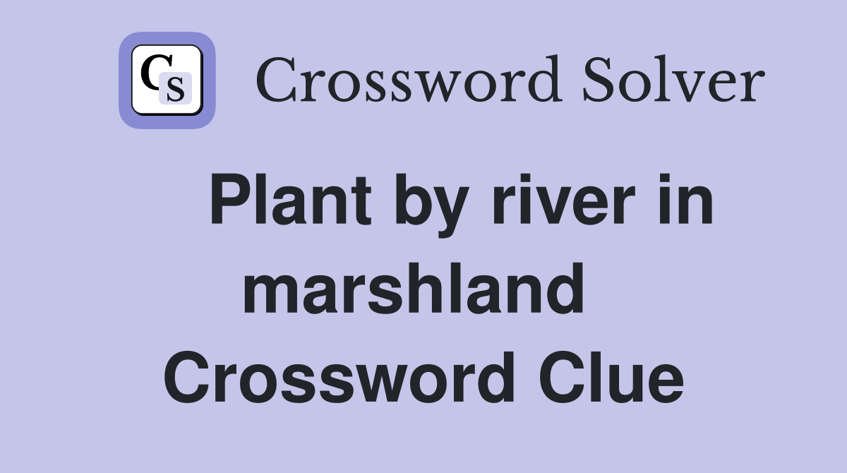    Plant by river in marshland  Crossword Clue