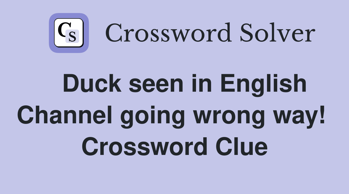   Duck seen in English Channel going wrong way!  Crossword Clue
